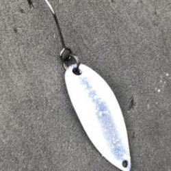 フィッシング サンクチュアリ 釣果