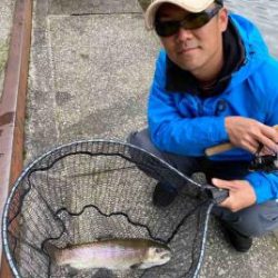 フィッシング サンクチュアリ 釣果