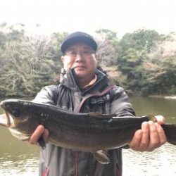 フィッシング サンクチュアリ 釣果