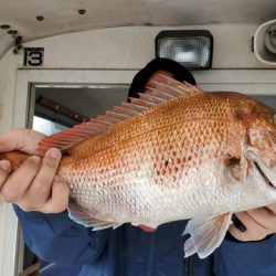 遊漁船 ニライカナイ 釣果
