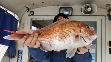 遊漁船 ニライカナイ 釣果