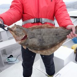 遊漁船 遊友 釣果