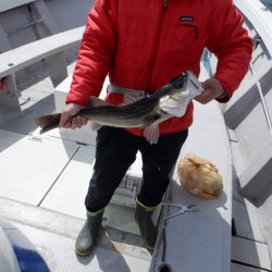 遊漁船 遊友 釣果