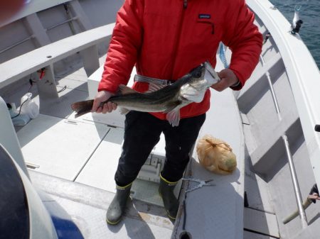 遊漁船 遊友 釣果