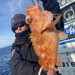 シードリーム 釣果