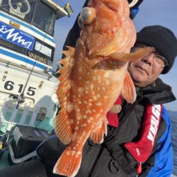 シードリーム 釣果