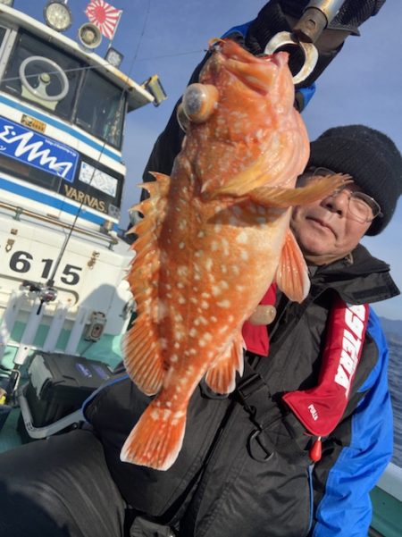 シードリーム 釣果