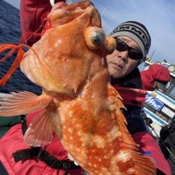 シードリーム 釣果