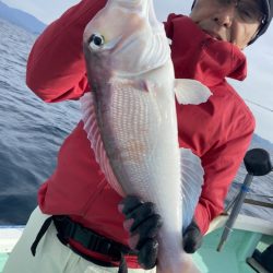 シードリーム 釣果