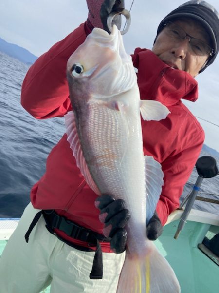 シードリーム 釣果