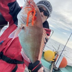 シードリーム 釣果