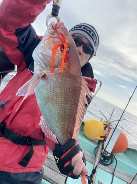 シードリーム 釣果