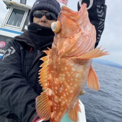 シードリーム 釣果