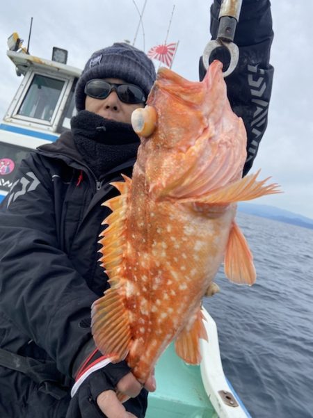 シードリーム 釣果