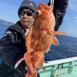 シードリーム 釣果