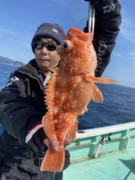 シードリーム 釣果