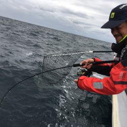 松鶴丸 釣果