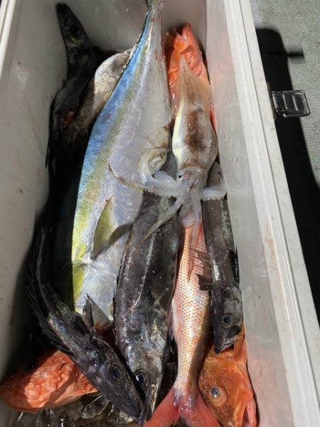 たいし丸 釣果