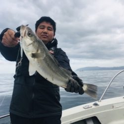 シーモンキー 釣果