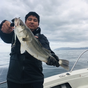 シーモンキー 釣果