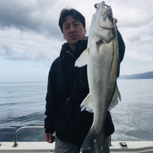 シーモンキー 釣果