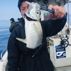 シーモンキー 釣果