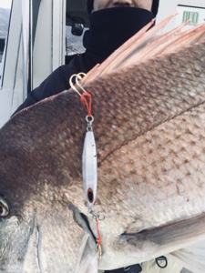 シーモンキー 釣果