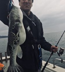 シーモンキー 釣果