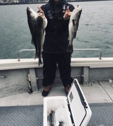 シーモンキー 釣果