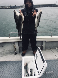 シーモンキー 釣果