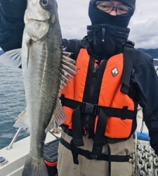 シーモンキー 釣果