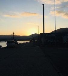 シーモンキー 釣果