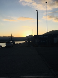 シーモンキー 釣果