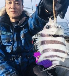 シーモンキー 釣果