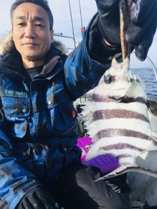 シーモンキー 釣果