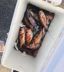 シーモンキー 釣果