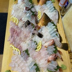 リトルワン 釣果