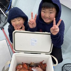 リトルワン 釣果