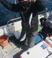 シーモンキー 釣果