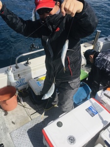 シーモンキー 釣果