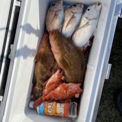 リトルワン 釣果