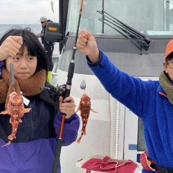 リトルワン 釣果