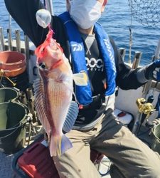 シーモンキー 釣果