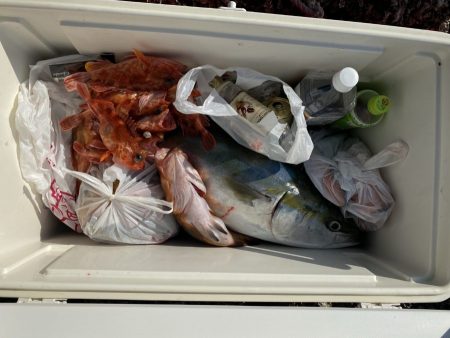 リトルワン 釣果