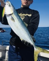 シーモンキー 釣果