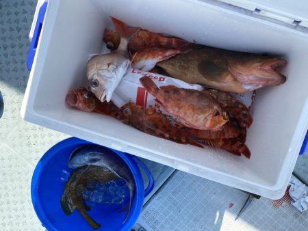 リトルワン 釣果