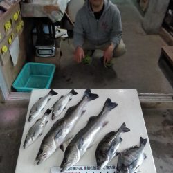 ふじや釣舟店 釣果
