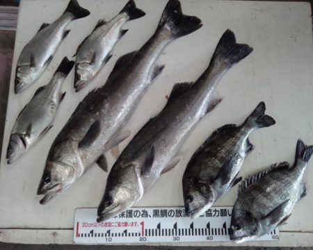 ふじや釣舟店 釣果