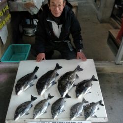 ふじや釣舟店 釣果