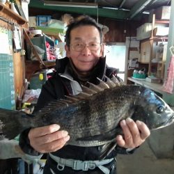 ふじや釣舟店 釣果